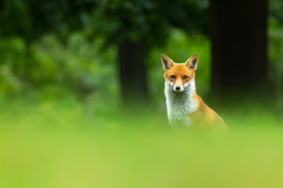 photo by Oliver Smart